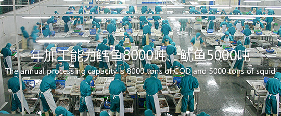 v003 欧亚国际(中国区)·官方网站
